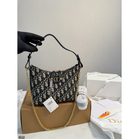 Dior Hobo (Oblique)